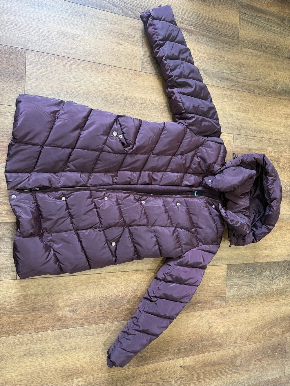 Steve Madden Quilted Jacket in Berry Plum. Size M